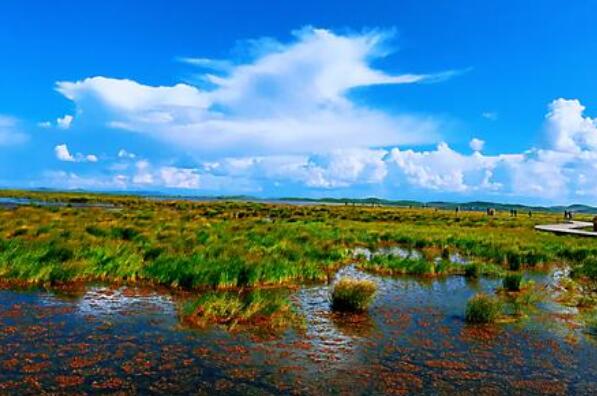 中国十大最美湿地排行榜 杭州西溪湿地上榜，第一在内蒙古插图2