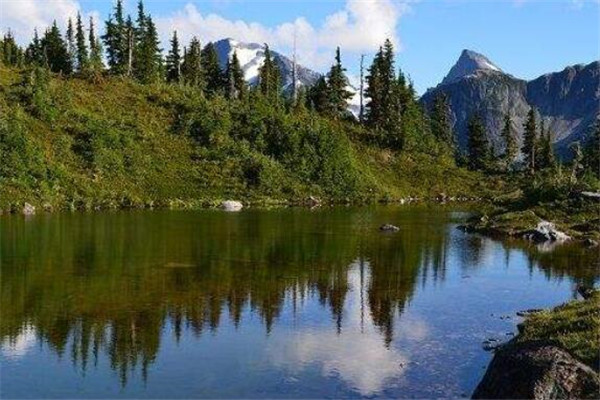 世界十大最美丽的森林 德国黑森林上榜，第四被誉为地球之肺插图7