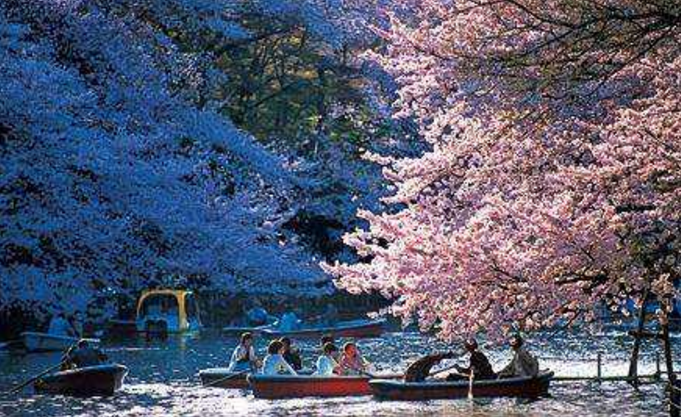 情侣不能去的十大地方 恋人不能去的分手圣地插图6