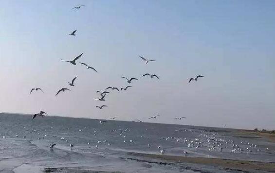 唐山好玩的地方排行榜 唐山抗震纪念馆必到插图5