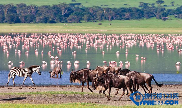 世界上十大与童话最接近的梦幻之地排行榜插图1
