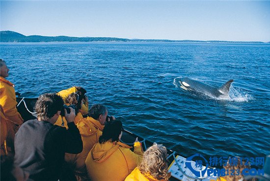 世界十大最美春色排行榜插图6