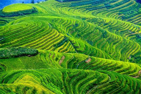 桂林最好玩的地方推荐 桂林好玩的地方排行榜插图5