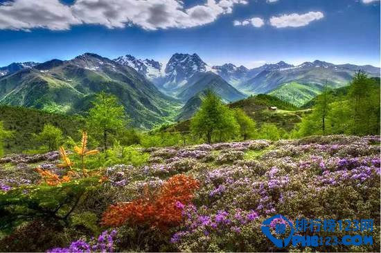 一定要带爱人同去的云南十大旅游地 春光正好爱心萌动插图7