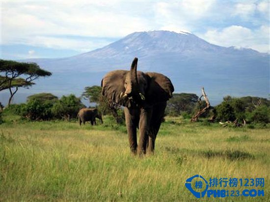 全球十大惊险刺激的丛林之旅排行榜插图5