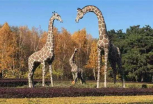 长春十大最好玩的景点：御龙温泉上榜，第二有众多雕塑|爱分享