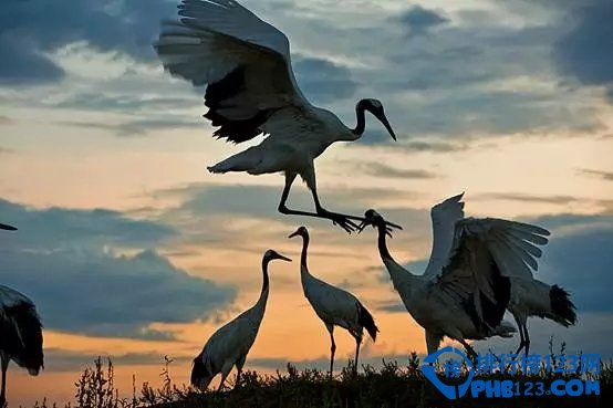 中国最美十大湿地排行榜 中国最好看的湿地有哪些插图3