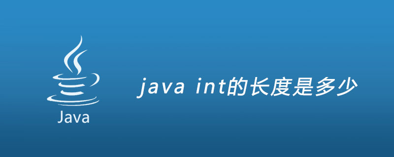 java int的长度是多少插图