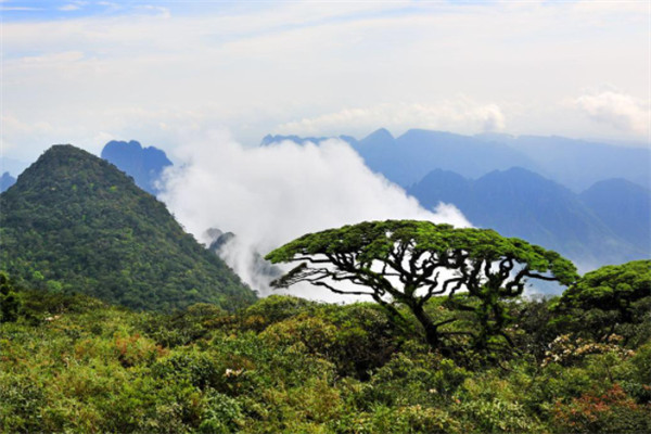 广西十大山：十万大山上榜，第一海拔高达2000米以上插图4