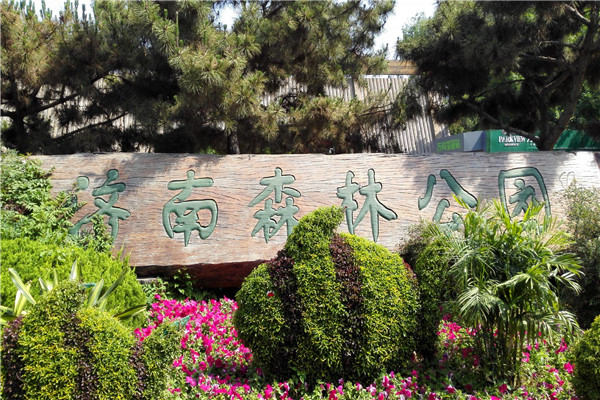 济南十大人少好玩的景点：莱芜野雪湖第7，第10绿色天堂插图1