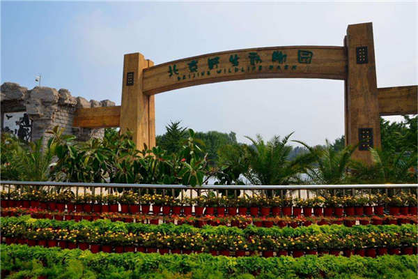 中国十大森林动物园 广州长隆野生动物园知名度高占地广插图1