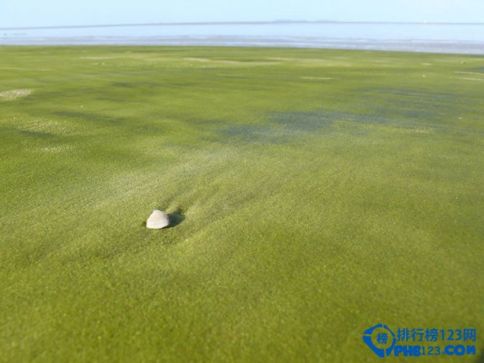 全球十大奇特海滩排行榜插图9