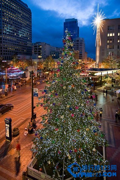 全球最美的十四大圣诞树排行榜插图12