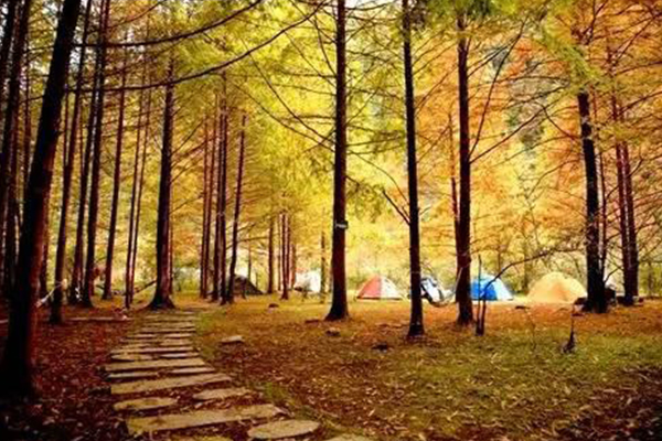 重庆十大爬山好去处:巫山上榜 第一是登山爱好者的理想去处插图8