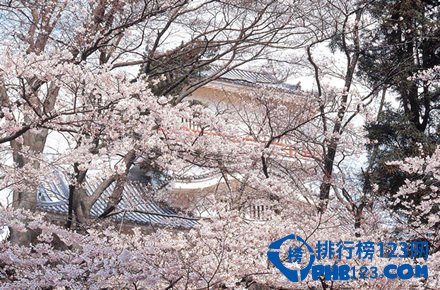 日本十大赏樱胜地排行榜插图9