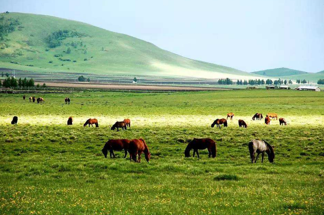河北必玩十大景区 山海关必去，承德避暑山庄最有名插图6