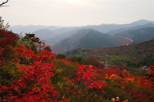 安阳十大风景名胜排行榜：殷墟上榜，第七是岳飞庙插图4
