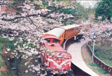 台湾十大旅游景点：阿里山风景区上榜，它写入小学课本|爱分享