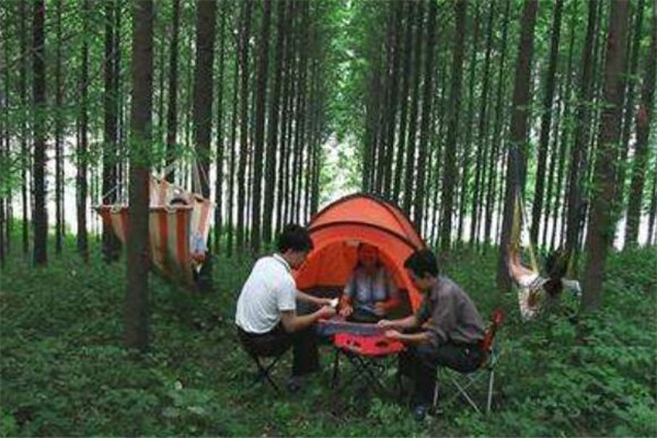 潜江最好玩的地方推荐 潜江好玩的地方排行榜插图4