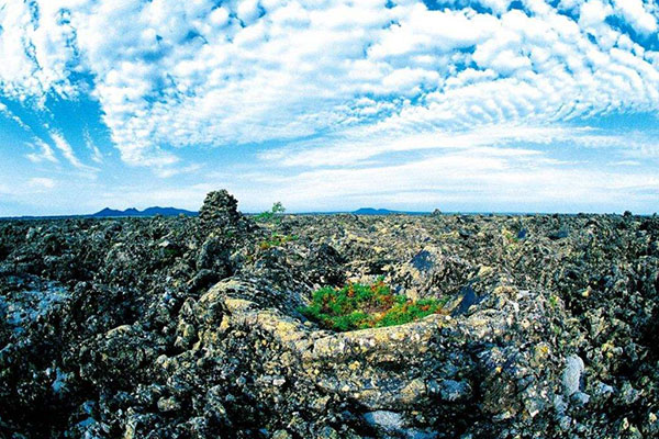 黑龙江十大旅游小镇排行榜：漠河县北极镇也可赏极光插图9