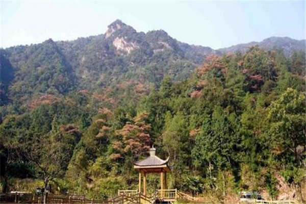 郴州十大风景名胜排名：高椅岭上榜，第四草原景色插图5
