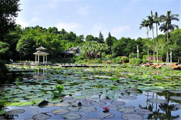 东莞十大免费景点 粤晖园上榜，旗峰公园排第七位插图7