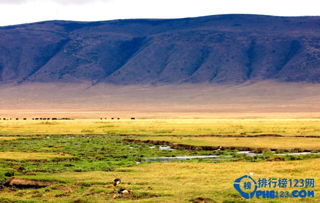 盘点世界十大自然人文奇迹 中国竟有3地上榜插图6