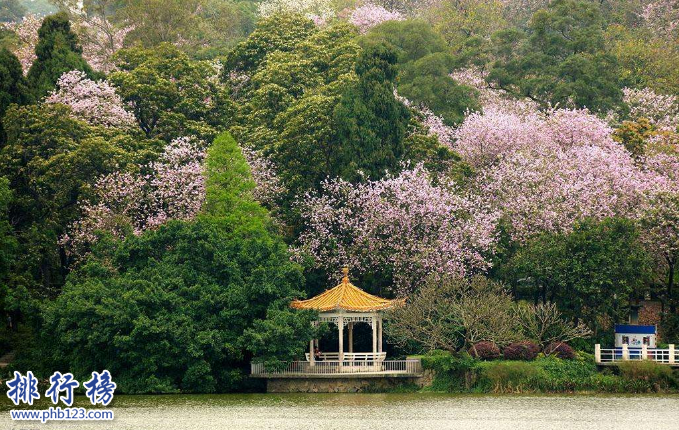 广州有什么好玩的地方？盘点广州适合情侣休闲的地方插图3