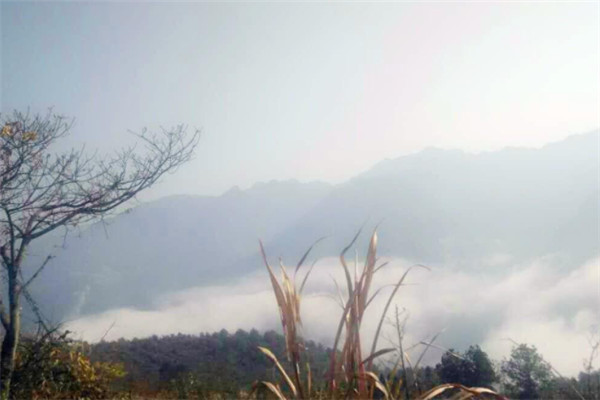 浙江十大高峰排行榜：龙王山上榜，第一是黄茅尖插图7