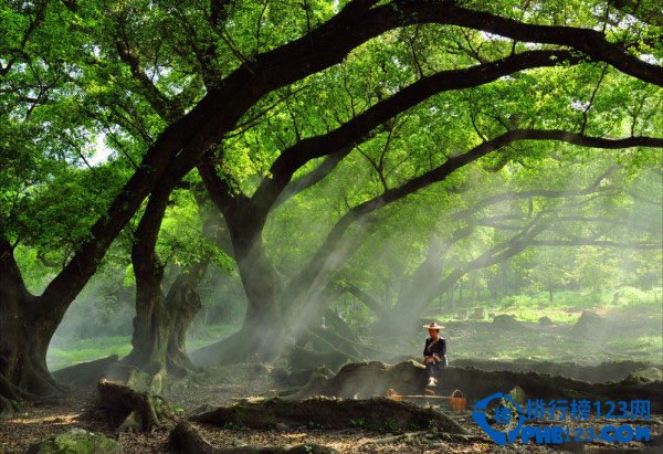 中国十大摄影圣地排行榜插图3