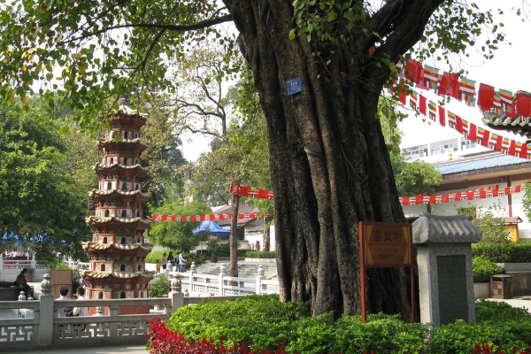 广州十大著名寺庙,大佛寺强势上榜，六榕寺强势夺魁插图8