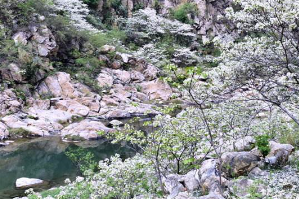 安阳十大风景名胜排行榜：殷墟上榜，第七是岳飞庙插图1