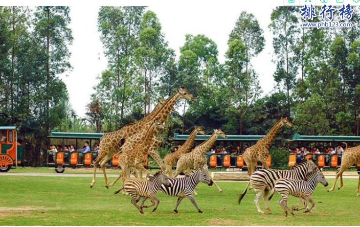 广州市内一日游好去处 盘点广州周末8个休闲好去处插图6