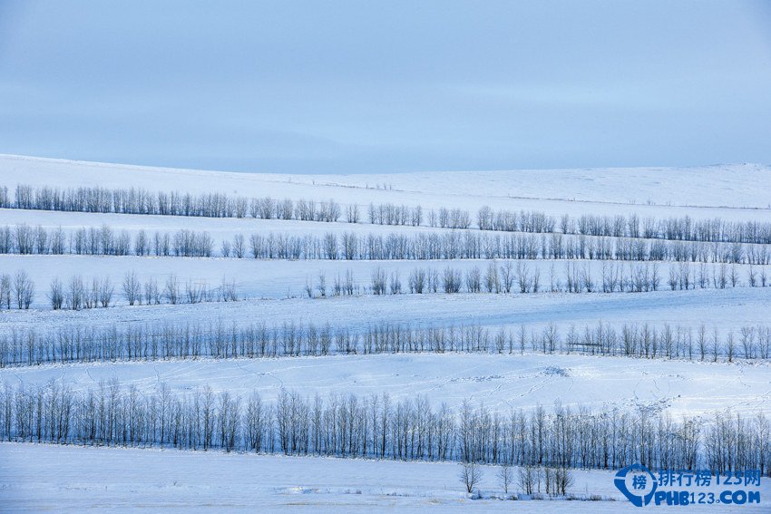 盘点国内冬季赏雪十大旅游地插图6