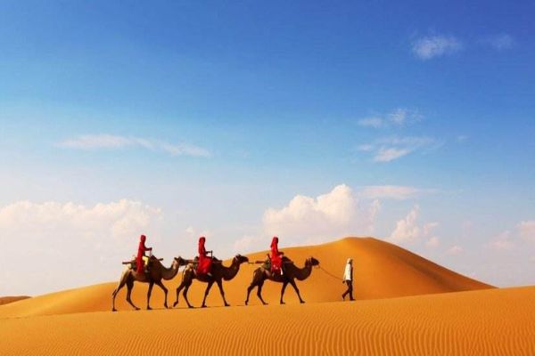 宁夏十大网红地点排行榜 去宁夏不能错过这些地方插图1