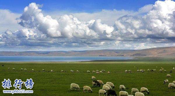 中国十大最美草原排行榜 中国哪里的草原最美插图8