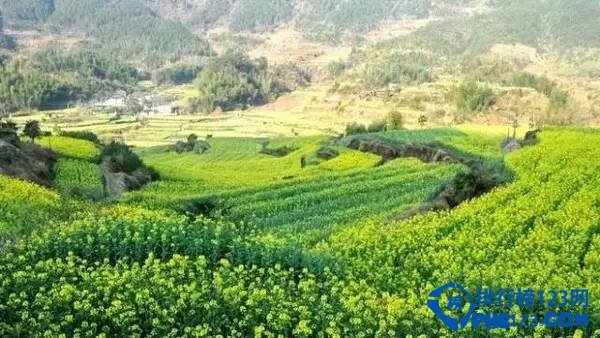 徽州十大古道 去徽州一定要去的古道插图6