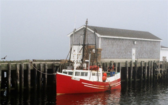 悉尼是哪个国家的?悉尼是哪个国家的城市?插图1