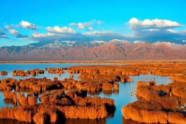 宁夏十大网红地点排行榜 去宁夏不能错过这些地方插图5