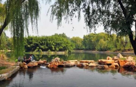 济宁好玩的地方排行榜 孔庙建筑群规模仅次于故宫插图7