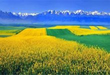 伊犁十大旅游景点：圣佑庙上榜，第七落日最美|爱分享