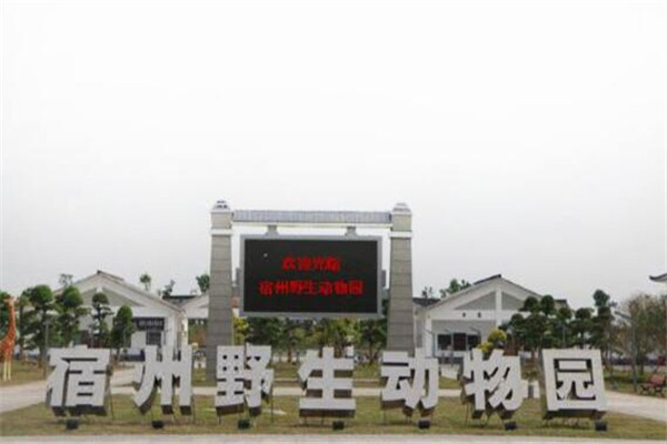 宿州最好玩的地方推荐 宿州好玩的地方排行榜插图2