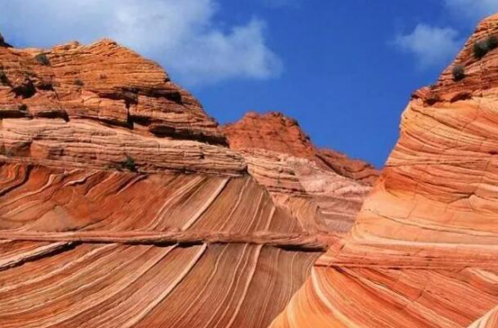 全球十大著名的火车旅行路线 第一路线车票最少都1000美元插图9