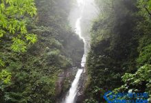 世界上最古老的十大原始森林排行榜|爱分享