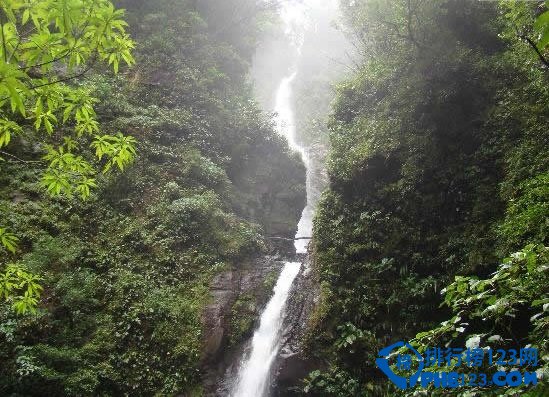 世界上最古老的十大原始森林排行榜插图9