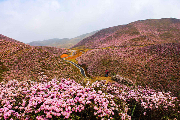 贵州十大爬山好去处排行榜:梵净山上榜，夏有凉风冬有雪插图1
