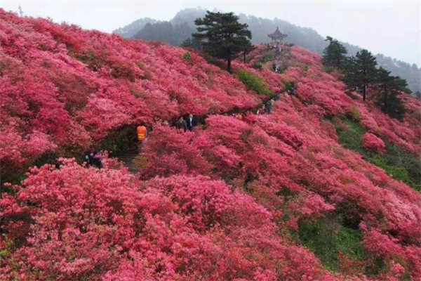 十大旅游景点江西：明月山上榜，第五是瓷器之都插图5