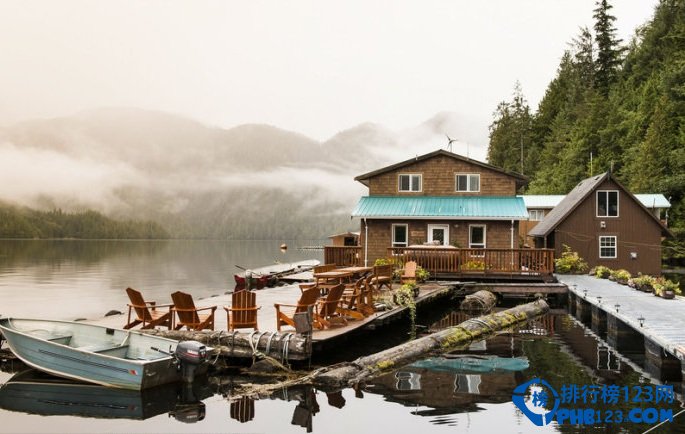 全球十大静美森林排行榜插图7