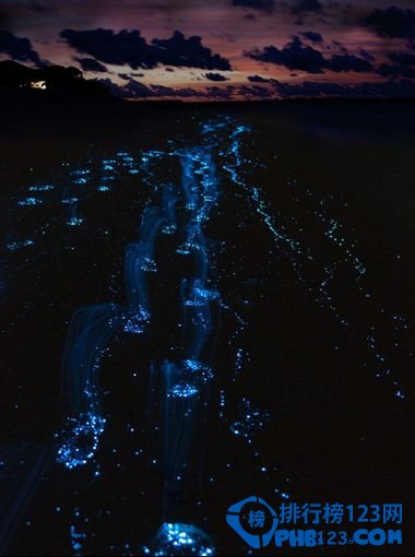 世界十大神秘自然现象排行榜插图6