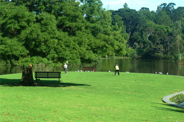 合肥十大公园排行榜：古逍遥津上榜，合肥中央公园最受欢迎插图8